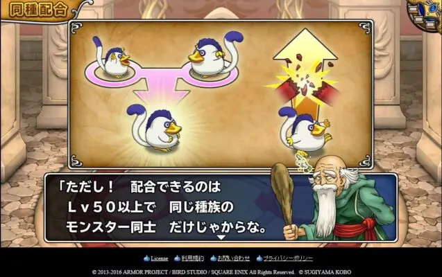 プリティ島で配合のほこらを見学 バトルスタジアムにも参加 7