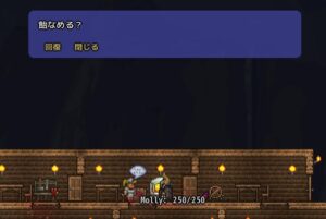 今度は地下砂漠を冒険！最大HPが上がって新たなNPCも来た！#5