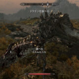 ドラゴン討伐