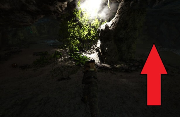 狩人の洞窟内 狩人の洞窟内