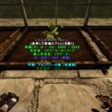 ナルコベリーの菜園