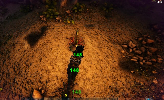 狩人の洞窟内 狩人の洞窟内