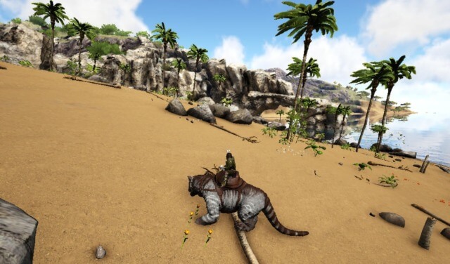 巣から遠くまで逃げてきた