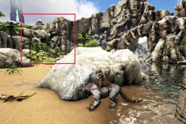 ワイバーンが探してる