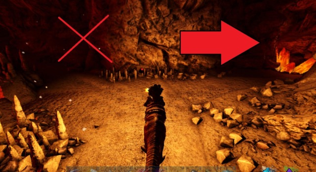 大物の洞窟の道順 大物の洞窟の道順