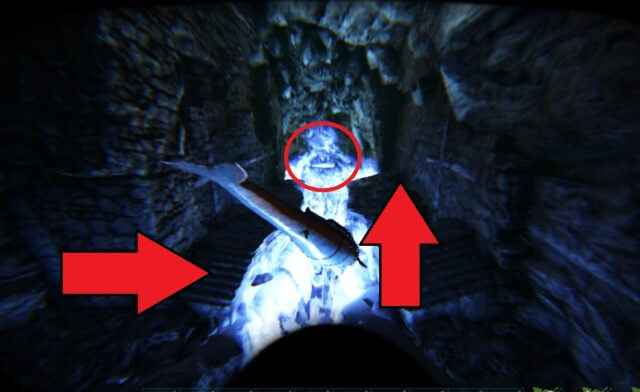 狡猾のアーティファクト周辺