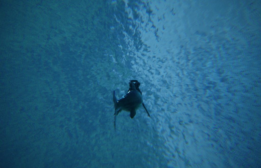 急速浮上 急速浮上