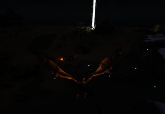 夜の松明 夜の松明