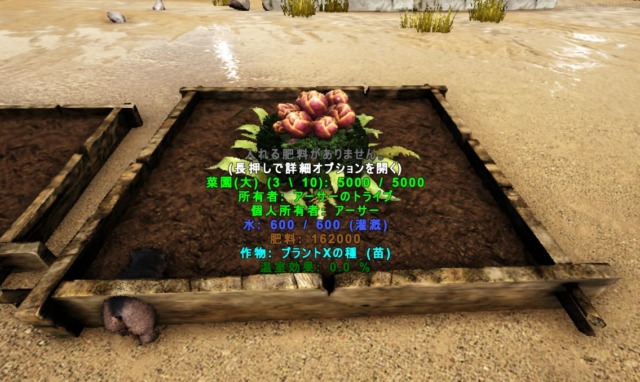 プラントXの苗 プラントXの苗