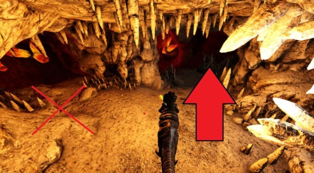 大物の洞窟道順 大物の洞窟道順