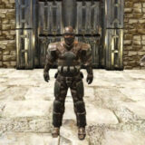 ライオット一式