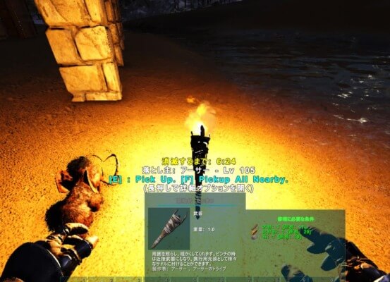 松明投げ 松明投げ