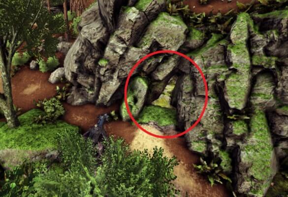 免疫の洞窟の場所