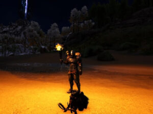 今更聞けない松明の効果と使い方！持つだけじゃ勿体ない！