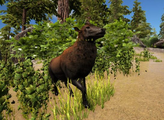 メガロケロス雌