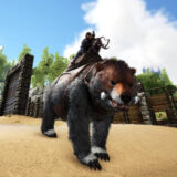 ショートフェイスベア