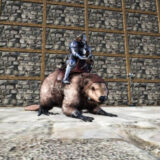 カストロイデス