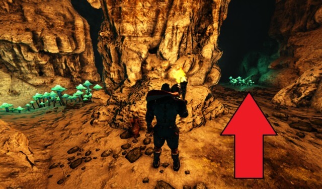 最初の分岐点 最初の分岐点