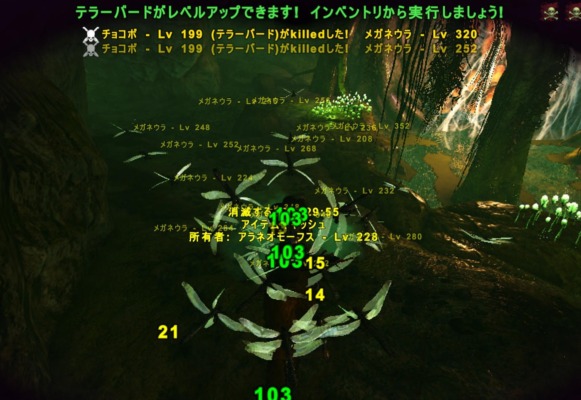 テラーバードで免疫の洞窟攻略