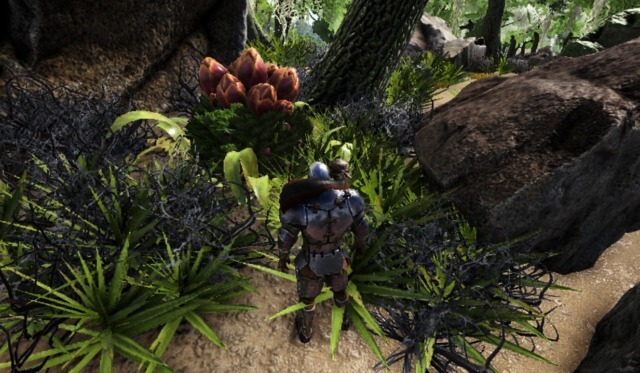 プラントX プラントX