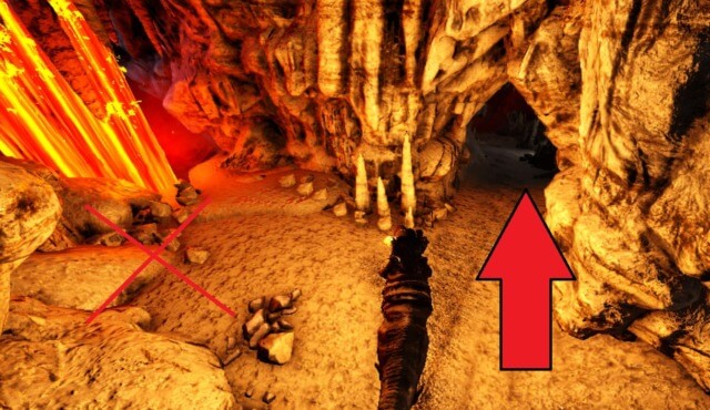 大物の洞窟道順 大物の洞窟道順