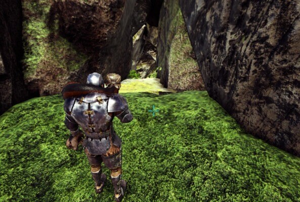 免疫の洞窟入口