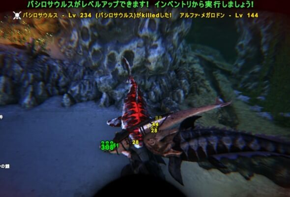 アルファメガロドン