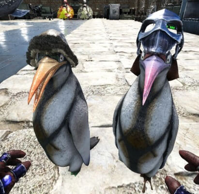 カイルクペンギンの頭装備