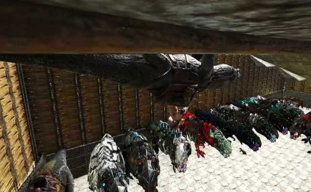 メガラニアの生息場所とテイム方法 天井張り付きの使い道は メガラニアの生息場所とテイム方法 天井張り付きの使い道は