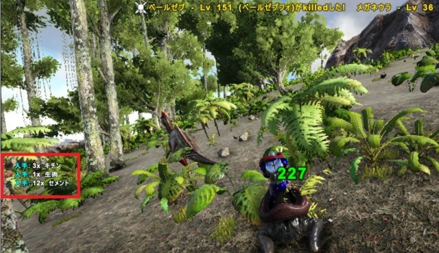 虫系からセメント入手