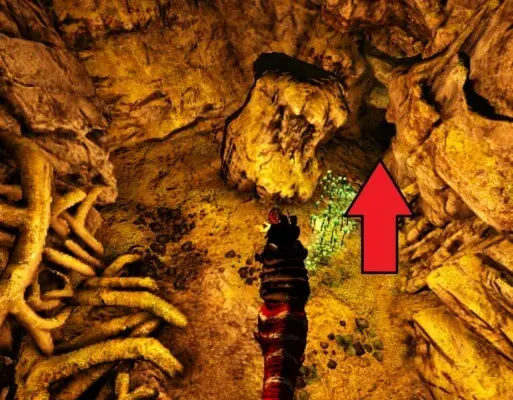 アイランド群集の洞窟攻略 アーティファクトまでの道順は