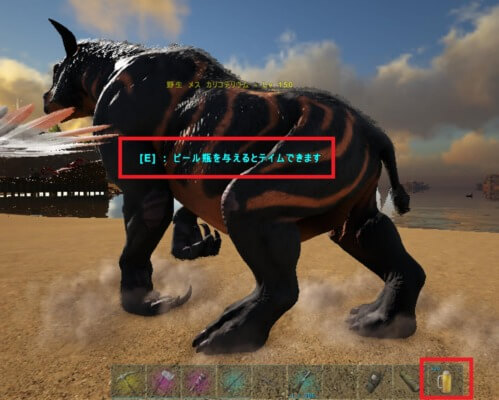 カリコテリウムにビール手渡し