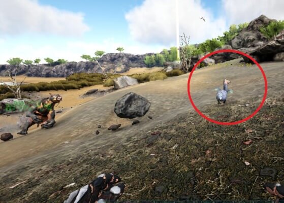 岩石が当たる瞬間