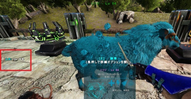 ヒツジから羊毛刈り取り