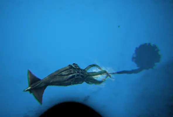 トゥソテウティスの生息場所とテイム方法 深海最強の巨大イカ