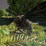 イキオオミツバチ(女王蜂)