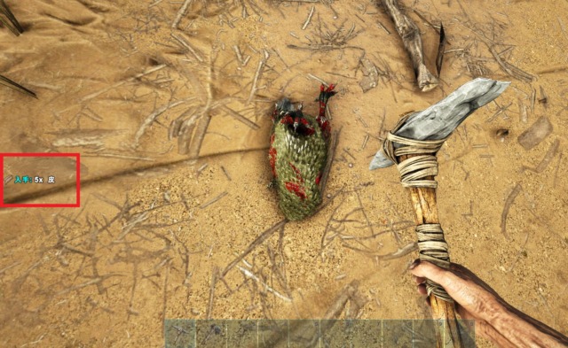 ドードーの解体