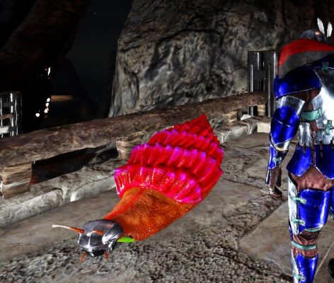 アフリカマイマイに金属帽子