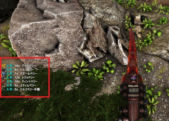 ディプロドクスでベリー採取