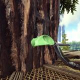 樹液の蛇口設置