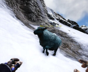 ヒツジの生息場所やテイム方法！羊毛と羊肉を手に入れろ！