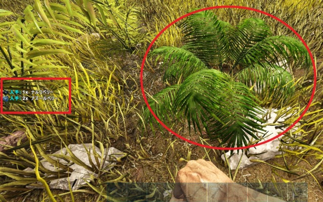 草むらからの採取