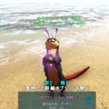 カワウソで黒真珠入手