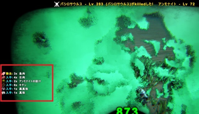 アンモナイトの剥ぎ取り