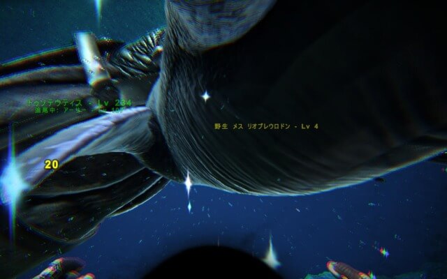 リオプレウロドンへの手渡しテイム