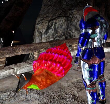 アフリカマイマイにキャプテンハット