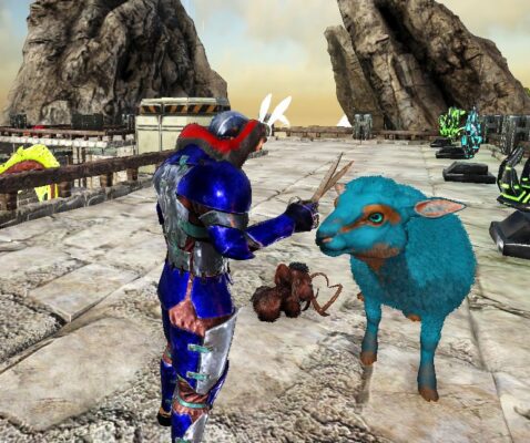 ヒツジの刈った後