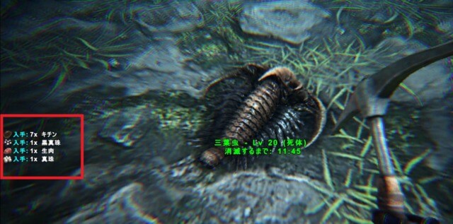 三葉虫の剥ぎ取り