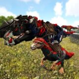 ペットのレベル上げ