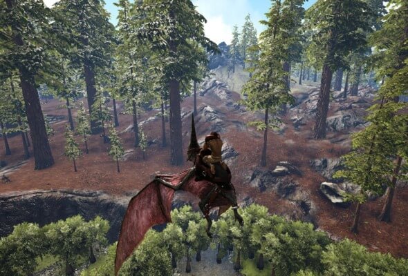 レッドウッドの森